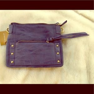 Francesca’s crossbody or clutch purse